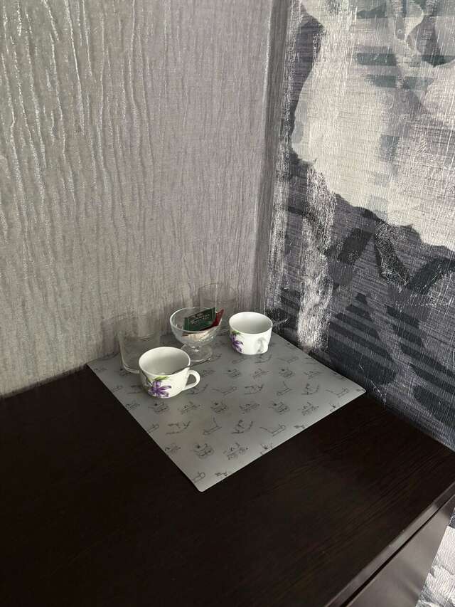 Гостиница СВ Нижний Новгород-41